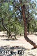 3060 Pinewood Dr, Overgaard, AZ 85933 photo 24