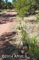 3060 Pinewood Dr, Overgaard, AZ 85933 photo 20