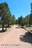 3060 Pinewood Dr, Overgaard, AZ 85933 photo 26