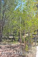 3060 Pinewood Dr, Overgaard, AZ 85933 photo 25