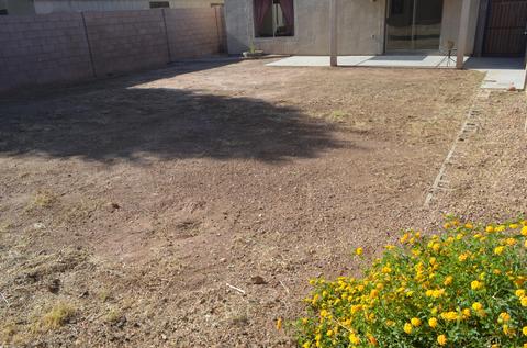 10906 E Carol Ave, Mesa, AZ 85208 photo 6