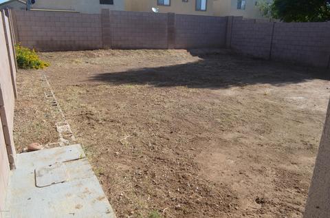 10906 E Carol Ave, Mesa, AZ 85208 photo 11