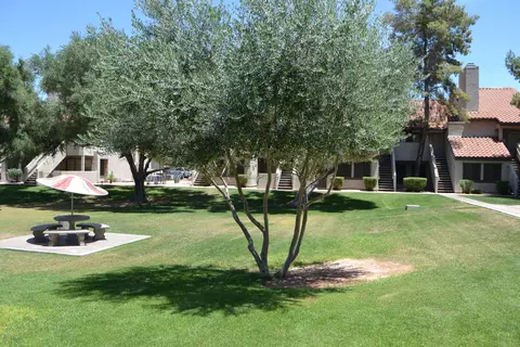 30 E Brown Rd #2114, Mesa, AZ 85201 photo 16
