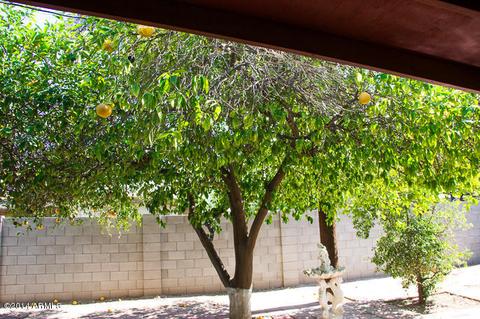 931 E Montebello Ave, Phoenix, AZ 85014 photo 21