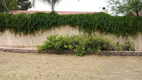 5728 Enrose St, Mesa, AZ 85205 photo 16