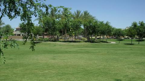 3475 E Orchid Ln, Gilbert, AZ 85296 photo 41