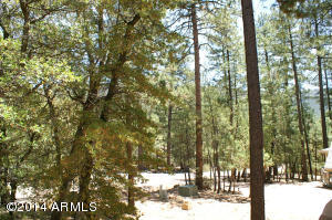 5188 N Trails End Dr, Pine, AZ 85544 photo 3