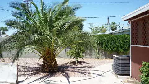 1841 E Avalon Dr, Phoenix, AZ 85016 photo 19