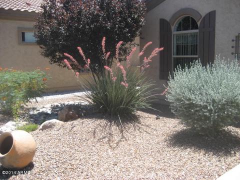 4281 E Azalea Dr, Gilbert, AZ 85298 photo 28