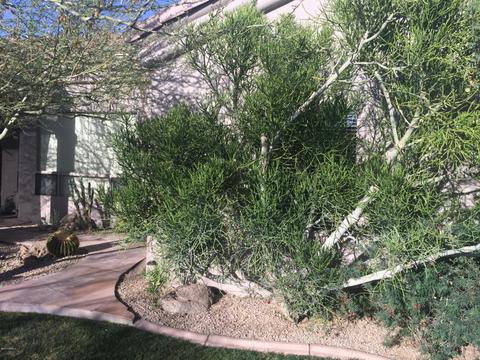 14636 S 4th Dr, Phoenix, AZ 85045 photo 50
