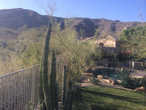 14636 S 4th Dr, Phoenix, AZ 85045 photo 48