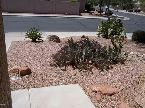 9816 E Keats Ave, Mesa, AZ 85209 photo 6