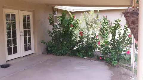 3951 E Becker Ln, Phoenix, AZ 85028 photo 19