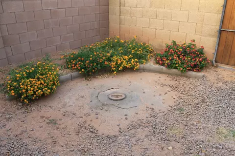 4118 E Grove Cir, Mesa, AZ 85206 photo 50