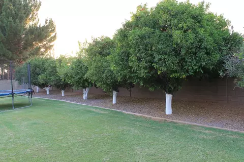 4118 E Grove Cir, Mesa, AZ 85206 photo 48