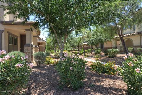 986 S Hawk Ln, Gilbert, AZ 85296 photo 3