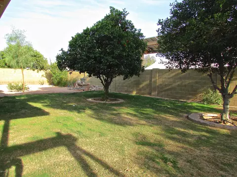 6731 E Ivy St, Mesa, AZ 85205 photo 19