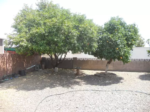 3247 E Kings Ave, Phoenix, AZ 85032 photo 16