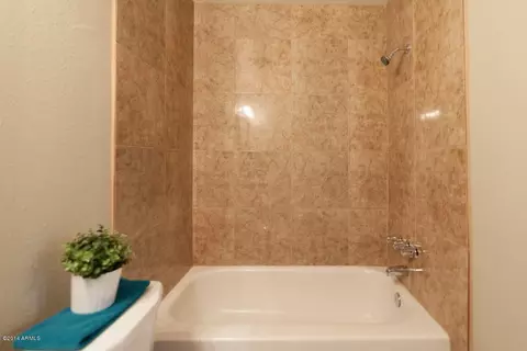 202 S Malcolm Dr, Apache Junction, AZ 85120 photo 14
