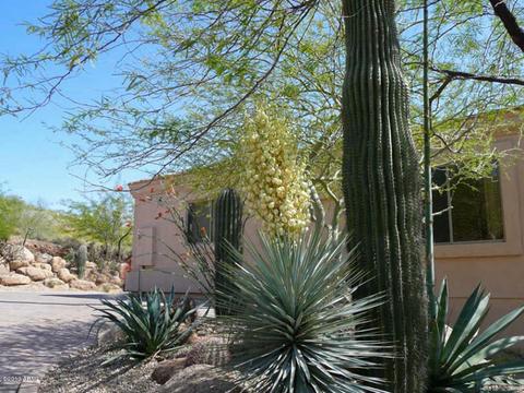 515 E Quartz Rock Rd, Phoenix, AZ 85085 photo 19