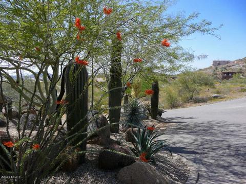515 E Quartz Rock Rd, Phoenix, AZ 85085 photo 39
