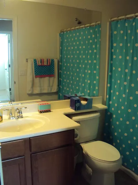 4113 E Oakland St, Gilbert, AZ 85295 photo 23