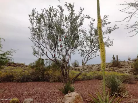 3327 E Rocky Slope Dr, Phoenix, AZ 85044 photo 7
