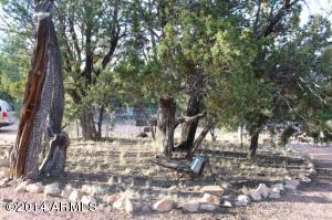 2137 Cottontail Rd, Overgaard, AZ 85933 photo 22