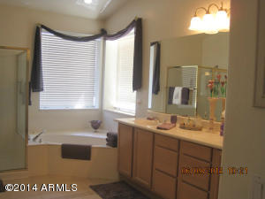 4553 E Ramuda Dr, Phoenix, AZ 85050 photo 19