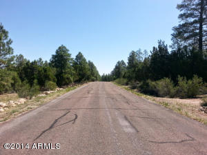 2862 Silver Dollar St, Overgaard, AZ 85933 photo 25