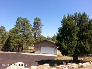 2862 Silver Dollar St, Overgaard, AZ 85933 photo 26