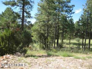 2862 Silver Dollar St, Overgaard, AZ 85933 photo 22
