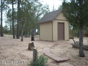 2239 Forest Park Dr, Overgaard, AZ 85933 photo 41