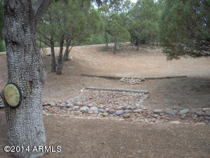 2239 Forest Park Dr, Overgaard, AZ 85933 photo 39