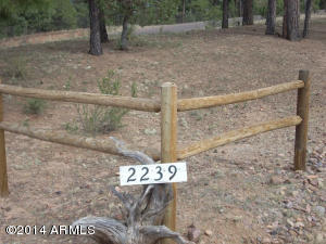2239 Forest Park Dr, Overgaard, AZ 85933 photo 3