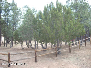 2239 Forest Park Dr, Overgaard, AZ 85933 photo 7