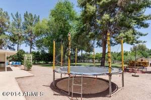 625 E Leah Ln, Gilbert, AZ 85234 photo 36