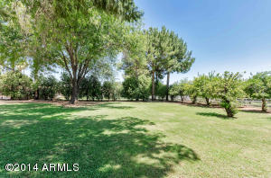 625 E Leah Ln, Gilbert, AZ 85234 photo 35