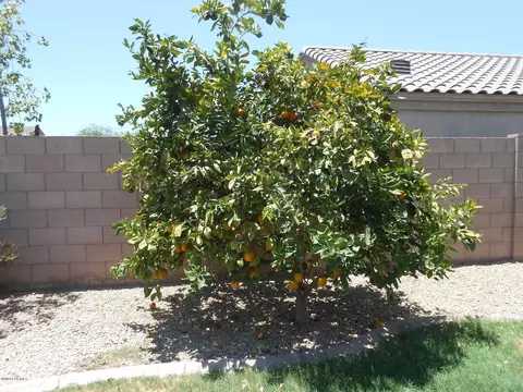 10845 E Arcadia Ave, Mesa, AZ 85208 photo 42