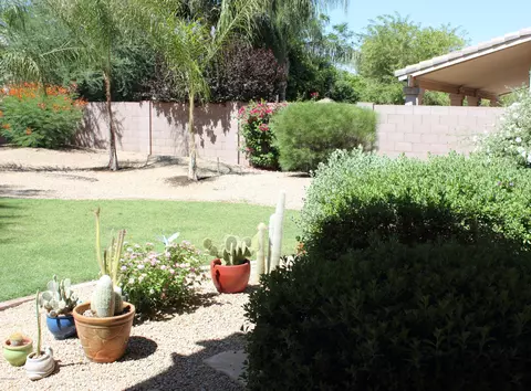 4123 E Lariat Ln, Phoenix, AZ 85050 photo 7