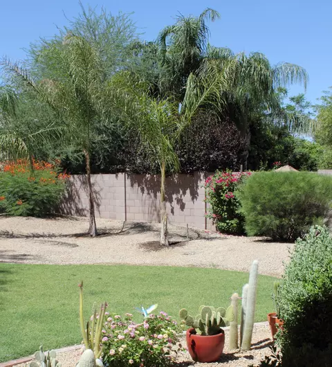 4123 E Lariat Ln, Phoenix, AZ 85050 photo 6
