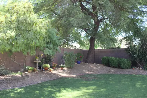 4123 E Lariat Ln, Phoenix, AZ 85050 photo 4