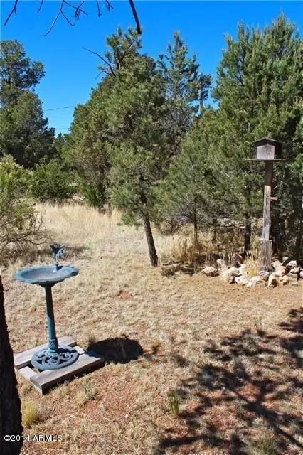 3368 Apache Dr, Overgaard, AZ 85933 photo 33