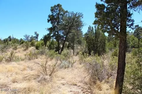3368 Apache Dr, Overgaard, AZ 85933 photo 30