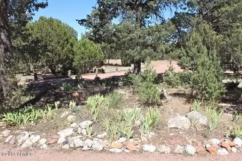 3368 Apache Dr, Overgaard, AZ 85933 photo 35