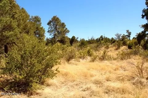 3368 Apache Dr, Overgaard, AZ 85933 photo 31