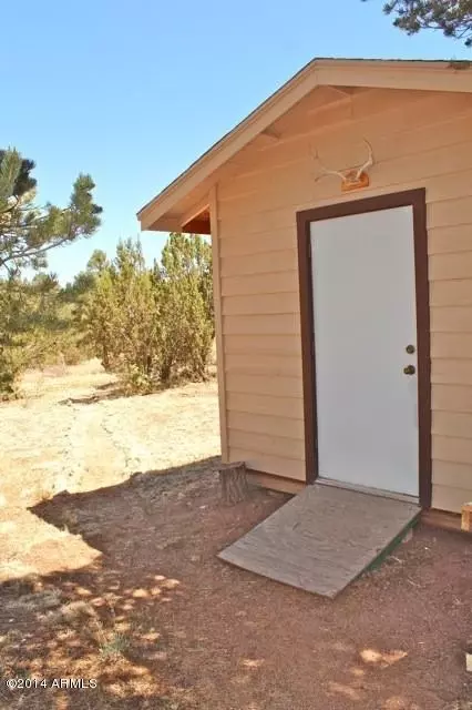 3368 Apache Dr, Overgaard, AZ 85933 photo 23
