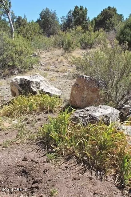 3368 Apache Dr, Overgaard, AZ 85933 photo 32