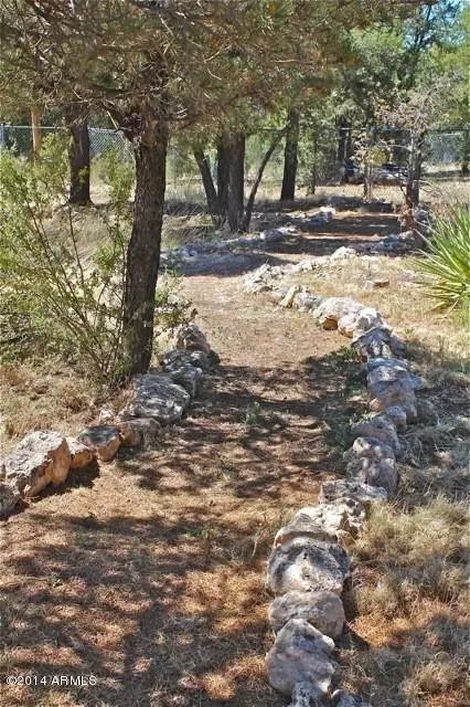 3368 Apache Dr, Overgaard, AZ 85933 photo 34