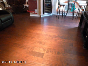 1135 E Frye Rd, Phoenix, AZ 85048 photo 40
